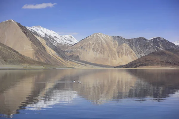 Riflessione delle montagne sul lago Pangong con sfondo cielo blu. Leh, Ladakh, India . — Foto Stock