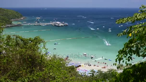 Vista alta mirar hacia la playa en el día soleado puede ver lancha rápida se mueven alrededor de la isla de Koh Lan, Tailandia — Vídeo de stock