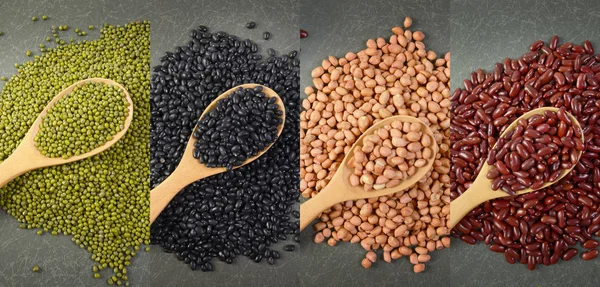 Seeds beans(Black Bean, Red Bean, Peanut and Mung Bean) useful for health in wood spoons on grey background.