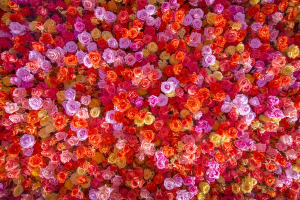 Mooie natuurlijke rode rozen flower achtergrond voor speciale gelegenheden. — Stockfoto