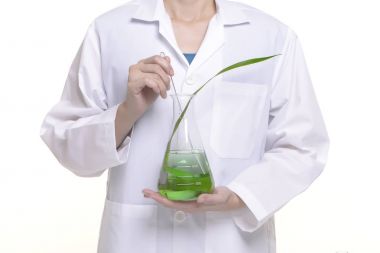 Bilim eğitim ve doğal bitkisel sıvı tıp araştırma.