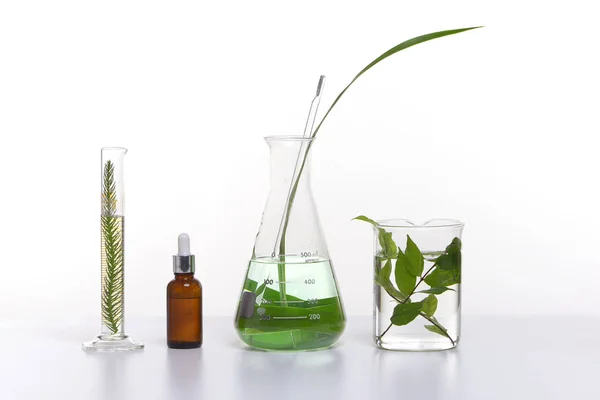 Produtos cosméticos de beleza natural com ingredientes à base de plantas, close-up — Fotografia de Stock