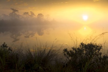 Işınlarının yansıma sis ile gölde su üzerinde gündoğumu,