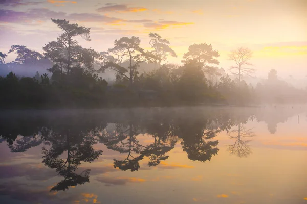 Raios de nascer do sol sobre o lago com névoa de reflexão sobre a água , — Fotografia de Stock
