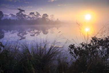 Işınlarının yansıma sis ile gölde su üzerinde gündoğumu,