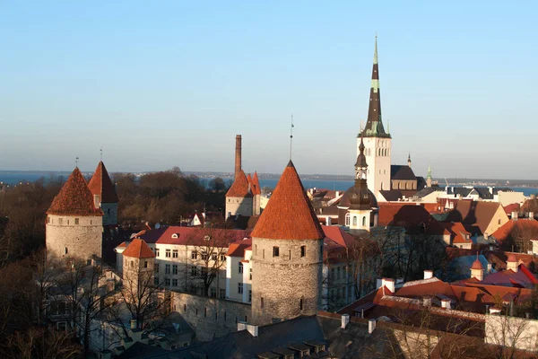 Vista Tallin Desde Plataforma Observación Imágenes de stock libres de derechos