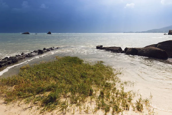 Green grass, sea waves on the coastline and cloudy sky. summer holidays seascape. quiet tropical island beach — Stock Photo, Image