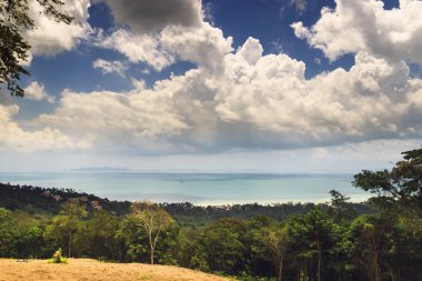 Yeşil Vadi, tropikal Körfezi ve evler güzel manzara. Sakin deniz ve bulutlu gökyüzü görünümü. güneşli bir gün hedef doğal. arka plan seyahat