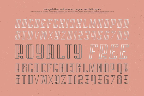 Lettres et chiffres alphabétiques réguliers et italiques — Image vectorielle