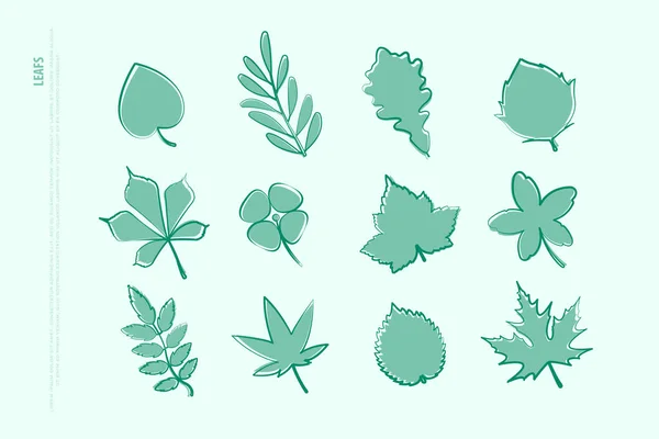 Набор изолированных ручных листовых иконок. логотип векторных листьев — стоковый вектор