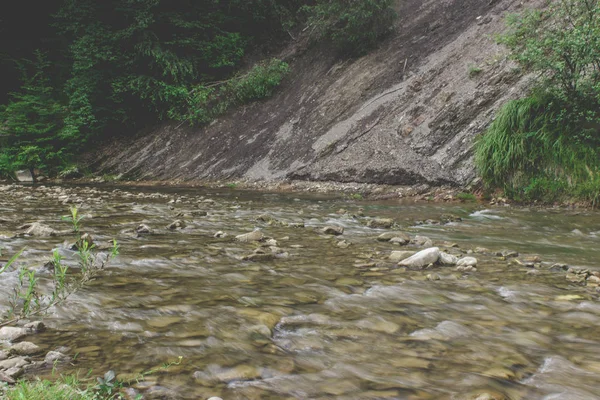 Karpat mountines gösterişli Nehri 