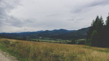 Bulutlu bir günde Karpat Dağları'nda Glade