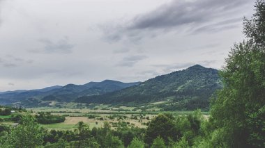 Bulutlu bir günde Karpat Dağları'nda Glade