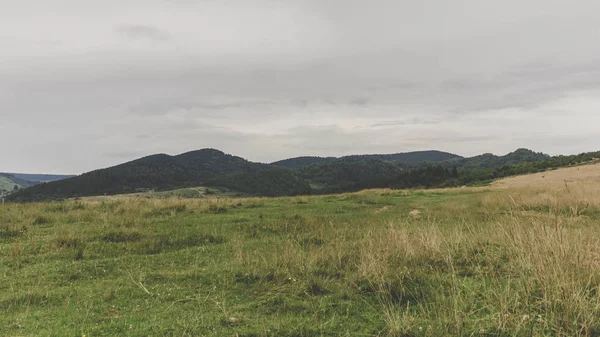 Bulutlu bir günde Karpat Dağları'nda Glade
