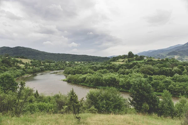 Karpat dağlarındaki dağ nehri