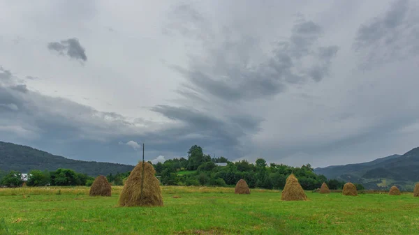 Glade ile saman Karpat dağ