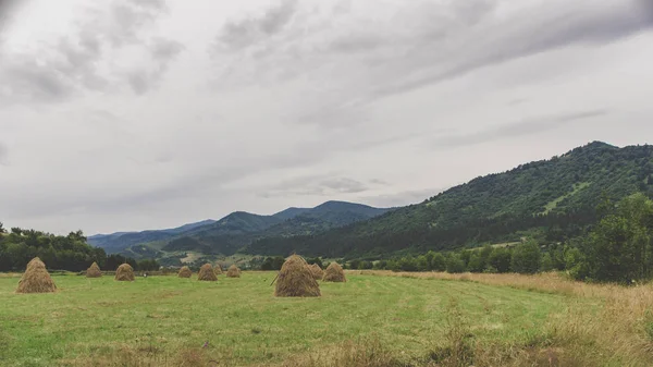 Glade ile saman Karpat dağ