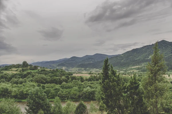 Glade Karpat Dağları'nda