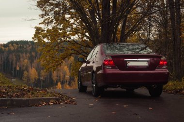 Kiraz kırmızısı 4 kapılı sonbahar sahnesi d sınıfı sedan Toyota Camry beşinci nesil XV30 2001-2006 Yazın yeşil bir tarla ve arka planda duran büyük farlar ve 18 inç jantlarla