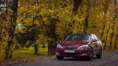 Kiraz kırmızısı 4 kapılı sonbahar sahnesi d sınıfı sedan Toyota Camry beşinci nesil XV30 2001-2006 Yazın yeşil bir tarla ve arka planda duran büyük farlar ve 18 inç jantlarla