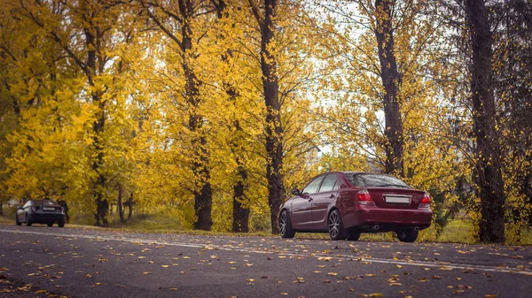 Kiraz kırmızısı 4 kapılı sonbahar sahnesi d sınıfı sedan Toyota Camry beşinci nesil XV30 2001-2006 Yazın yeşil bir tarla ve arka planda duran büyük farlar ve 18 inç jantlarla