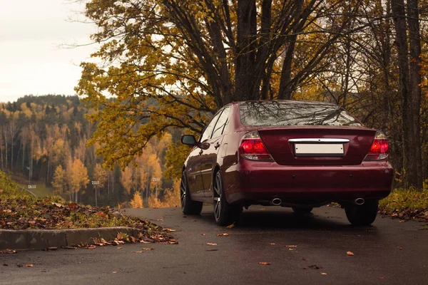Kiraz kırmızısı 4 kapılı sonbahar sahnesi d sınıfı sedan Toyota Camry beşinci nesil XV30 2001-2006 Yazın yeşil bir tarla ve arka planda duran büyük farlar ve 18 inç jantlarla