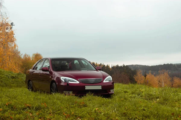 Kiraz kırmızısı 4 kapılı sonbahar sahnesi d sınıfı sedan Toyota Camry beşinci nesil XV30 2001-2006 Yazın yeşil bir tarla ve arka planda duran büyük farlar ve 18 inç jantlarla