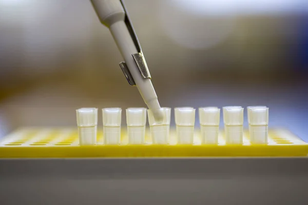Micropipetter Tip Used Transferring Small Volumes Liquid — 스톡 사진