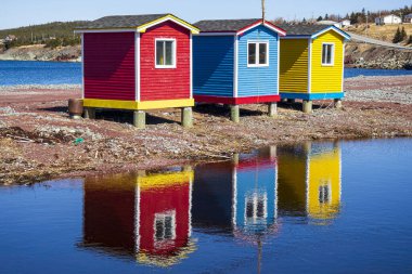 Çok renkli Newfoundland ve Labrador balıkçı kulübeleri. Turist için durmalıyız.. 