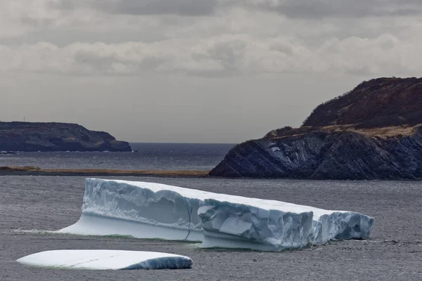 Newfoundland Port Rexton Karaya Oturmuş Bir Buzdağı Yazları Kıyı Şeridinin — Stok fotoğraf