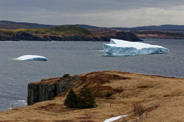 Ett Isberg Med Grund Port Rexton Newfoundland Som Visar Kustens — Stockfoto