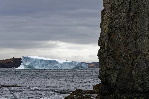 Ledovec Přistál Port Rextonu Newfoundlandu Ukazoval Krásu Pobřeží Létě Velmi — Stock fotografie