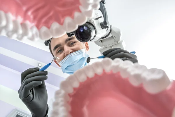 Dentista olha através de modelos de mandíbula — Fotografia de Stock