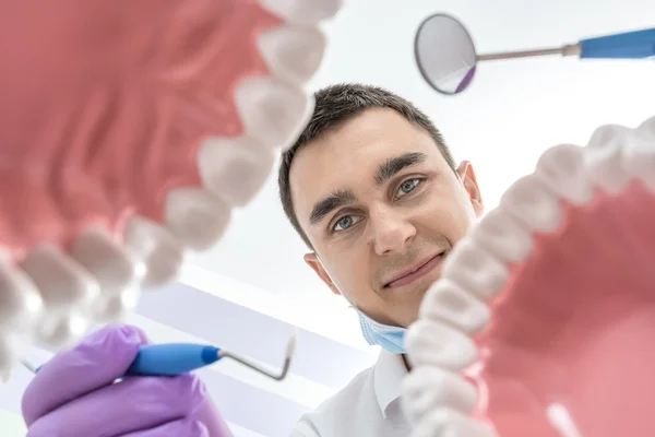 Dentysty patrzy przez modele szczęk — Zdjęcie stockowe