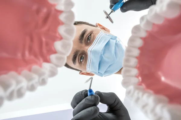 Dentysty patrzy przez modele szczęk — Zdjęcie stockowe