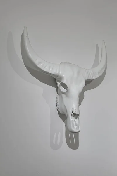 Decorative buffalo skull