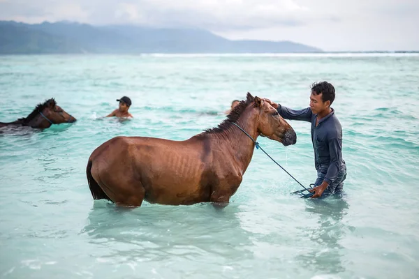Männer mit Pferden im Meer — Stockfoto