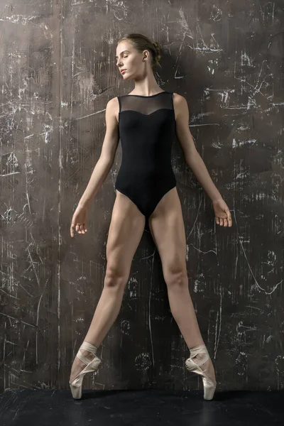 芭蕾舞演员在演播室摆姿势 — 图库照片