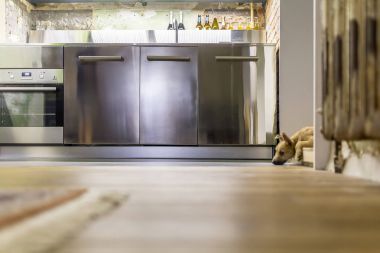 Çatı katı tarzında mutfakta köpek yavrusu