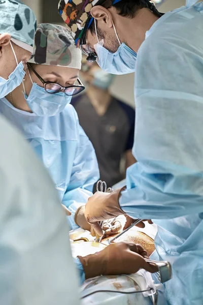 Processo de operação abdominal — Fotografia de Stock