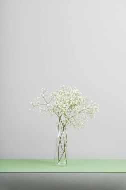 Cam vazo içinde sunulan hafif çiçek şube