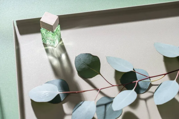 Groene eucalyptus tak en glazen pot — Stockfoto