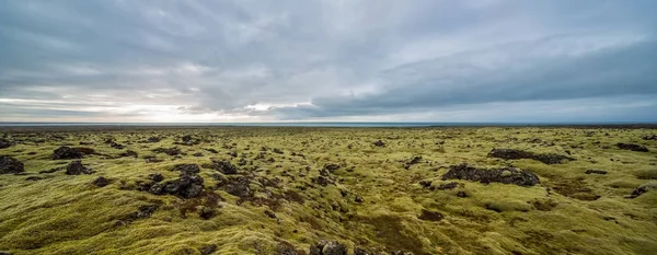 Исландский ландшафт мха — стоковое фото
