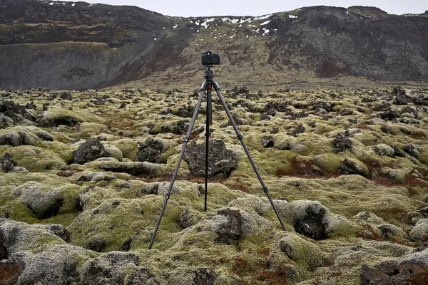 Statief met camera op mos veld — Stockfoto