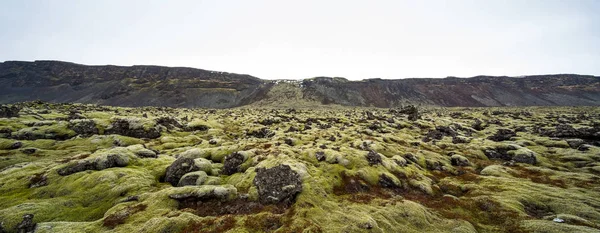 モス フィールドのアイスランドの風景 — ストック写真