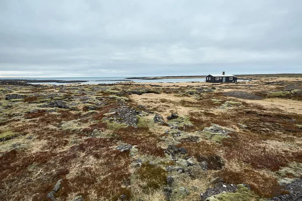 Islandzki krajobraz z samotny dom — Zdjęcie stockowe