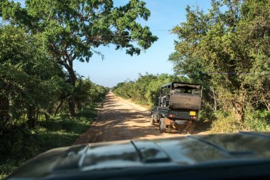 Sri Lanka Safari jeep turu