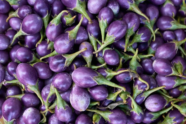 Viele reife Auberginen — Stockfoto