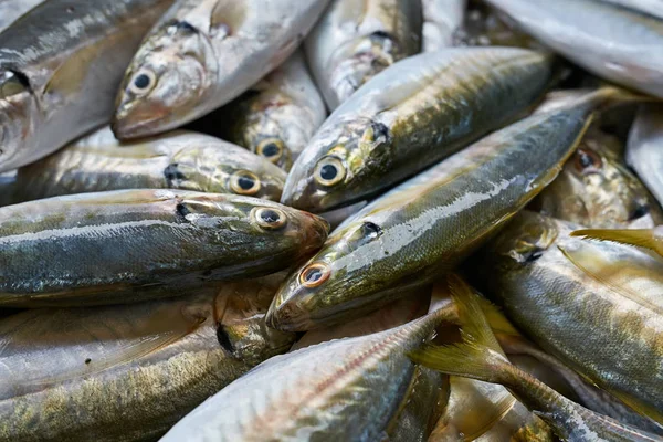 Najwięcej ryb na rynku — Zdjęcie stockowe