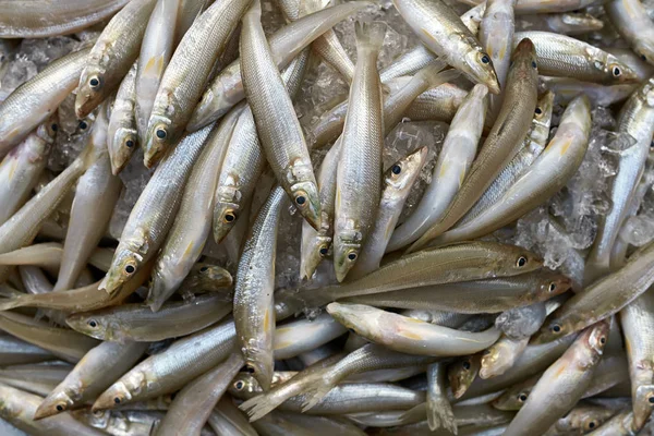 Najwięcej ryb na rynku — Zdjęcie stockowe